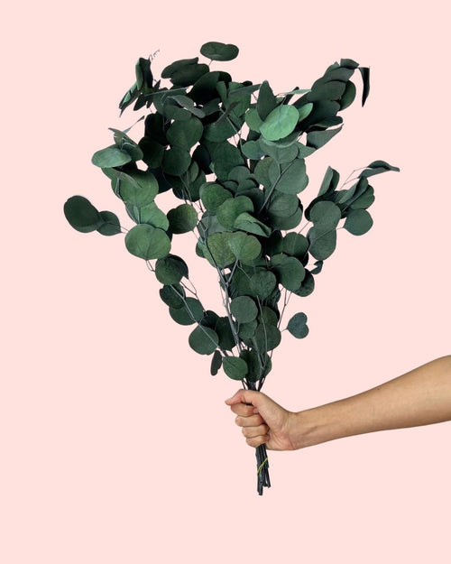 ramillete eucalipto verde