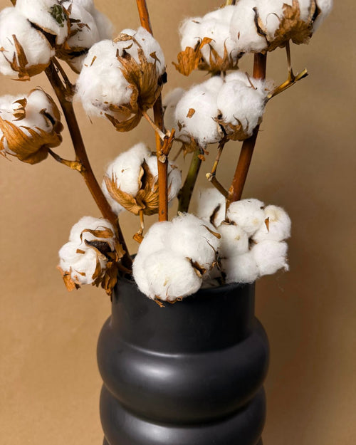 ramo algodon con jarron detalle