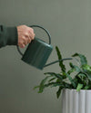 Regadera de Interior Verde – 1.4L - Pur Plant