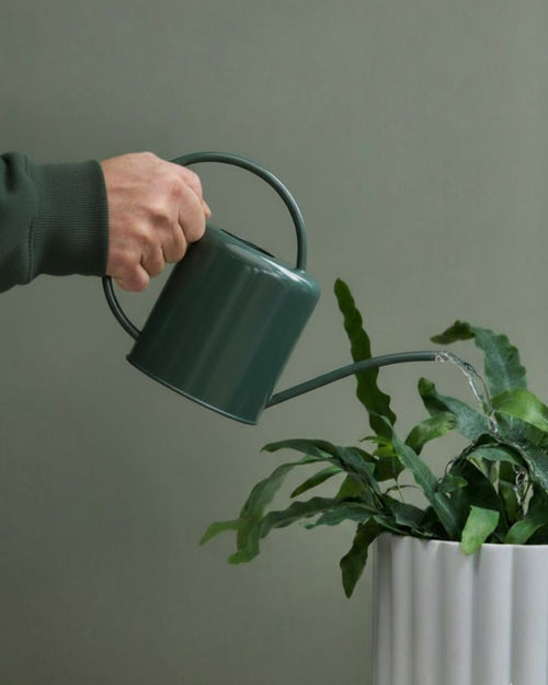 Regadera de Interior Verde – 1.4L - Pur Plant