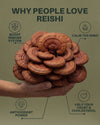reishi_benefits