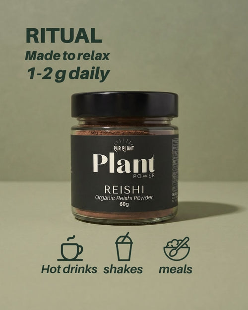 Reishi Ecológico En Polvo 60 g