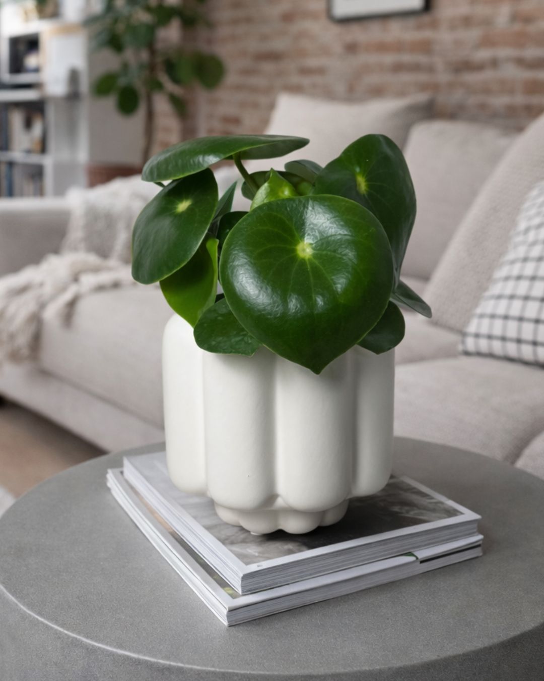 Retro – Maceta Cerámica Blanca Mate M 11 cm - Pur Plant