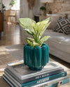 Retro – Maceta Cerámica Esmeralda M 11 cm - Pur Plant