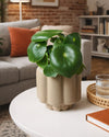Retro – Maceta Cerámica Moca Mate M 11 cm - Pur Plant