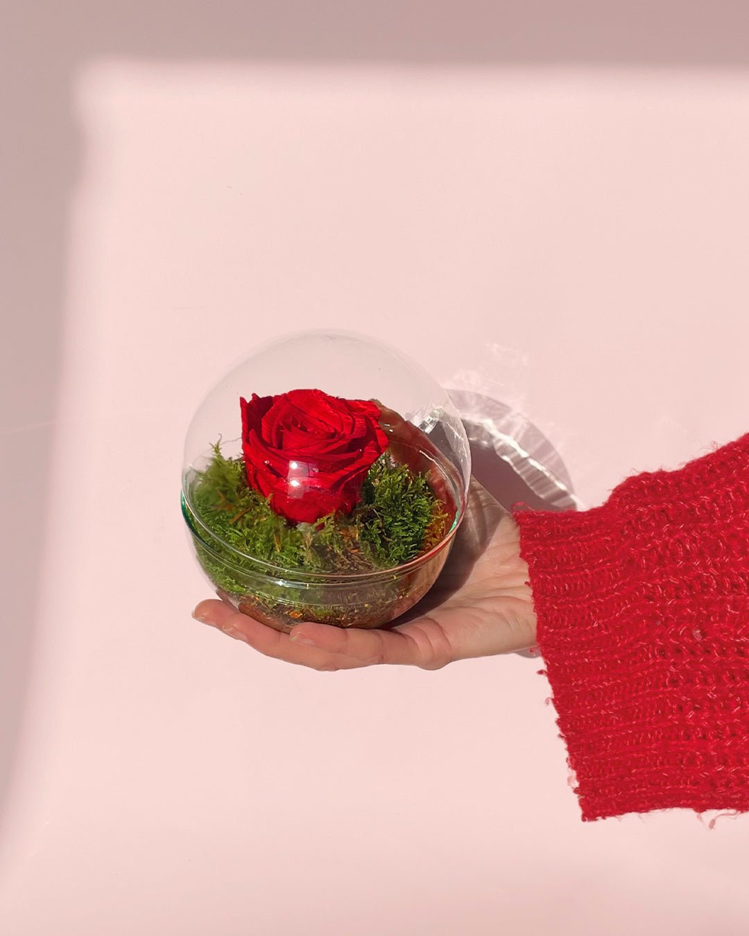 Rose – Rosa Eterna Mini Bol - Pur Plant