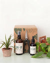 salva_plant_box