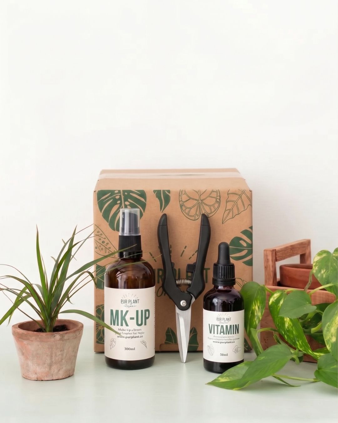 salva_plant_box_recupera_tus_plantas