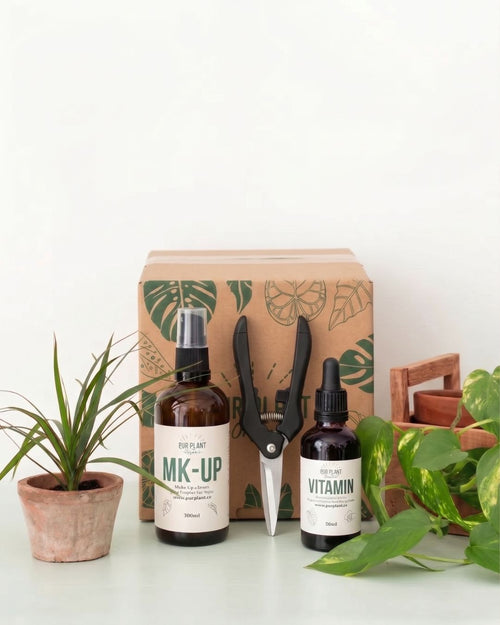 salva_plant_box_recupera_tus_plantas