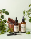 rescata tus plantas con la salva plant box