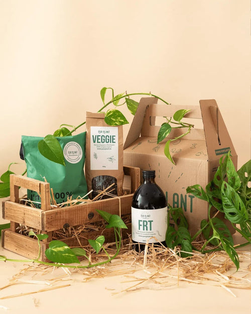 Salva Plant Box - Rescate y Recuperación de Plantas en Crisis