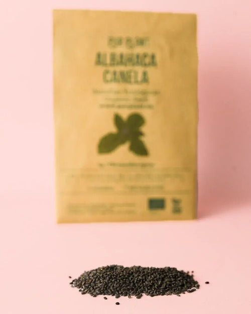Semillas de Albahaca Canela - Pur Plant