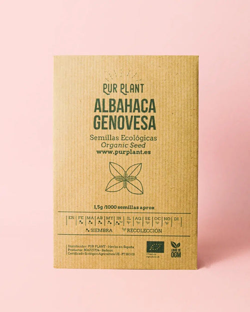 Semillas de Albahaca Genovesa - Pur Plant