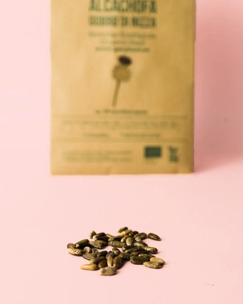 Semillas de Alcachofa Gobbo di Nizza - Pur Plant