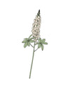 Semillas de Altramuz Blanco - Pur Plant
