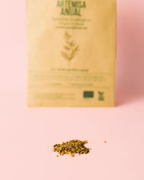 Semillas de Artemisa Anual (Ajenjo Dulce) - Pur Plant