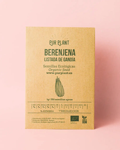 Semillas de Berenjena listada de Gandía - Pur Plant