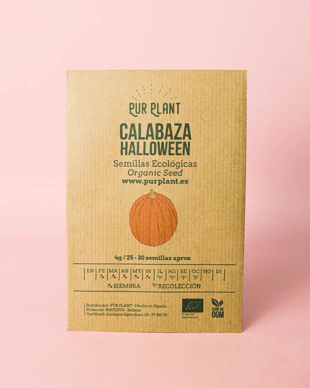 Semillas de Calabaza Halloween - Pur Plant