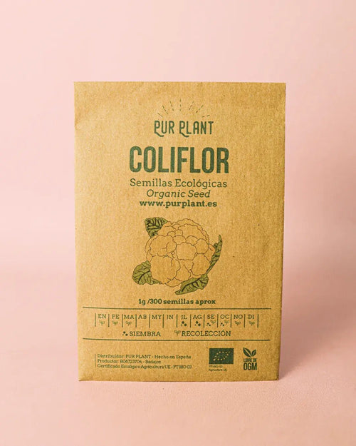 Semillas de Coliflor «Bola de nieve» - Pur Plant