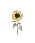 Semillas de Girasol Gigante