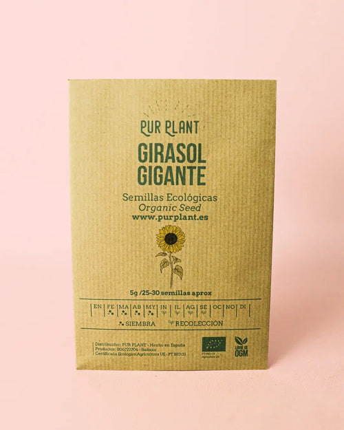 Semillas de Girasol Gigante - Pur Plant
