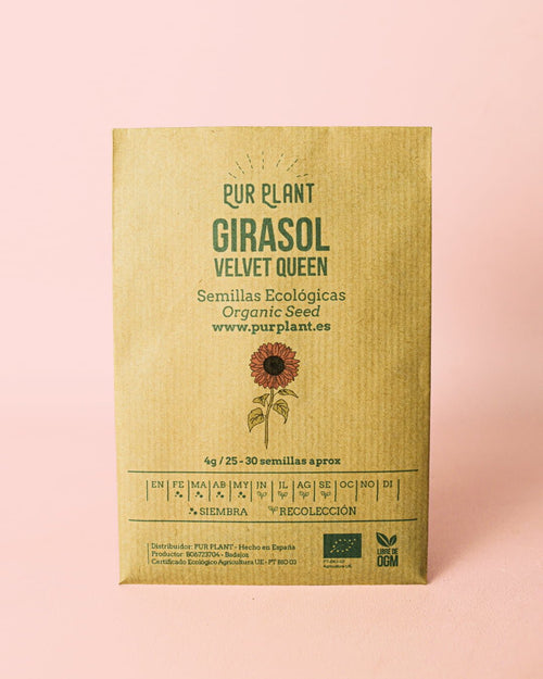 Semillas de Girasol Velvet Queen - Pur Plant