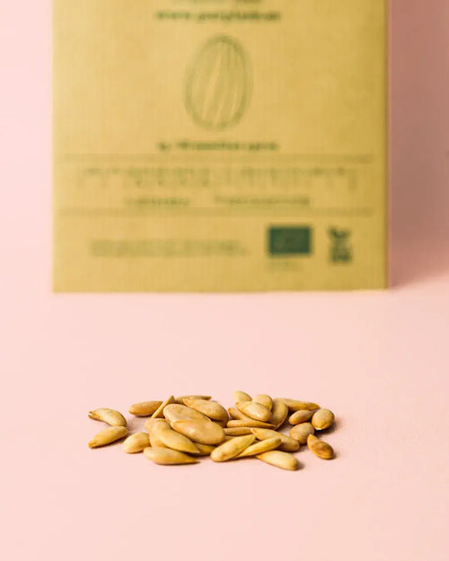 Semillas de Melón - Pur Plant