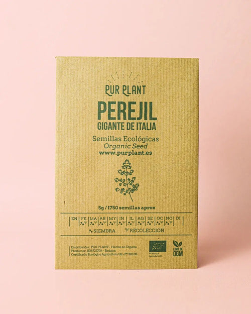 Semillas de Perejil Gigante de Italia - Pur Plant