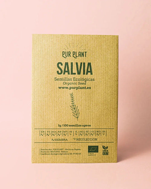 Semillas de Salvia - Pur Plant