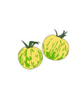 Semillas de Tomate Green Zebra