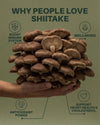 shiitake_benefits