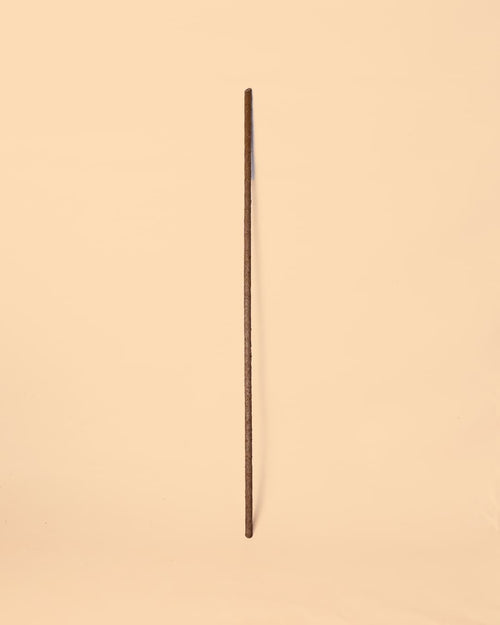 Stick Tutor Biodegradable 50 cm - Pur Plant