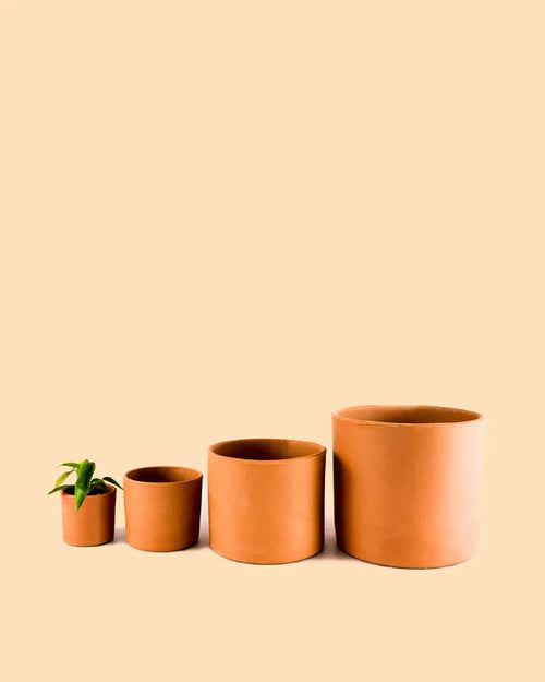 Super Mini Maceta – 7cm - Pur Plant