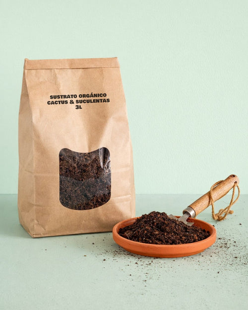 Plant Nutrition Box - Nutrición para Cactus y Suculentas