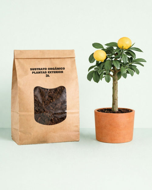 sustrato orgánico para plantas de exterior
