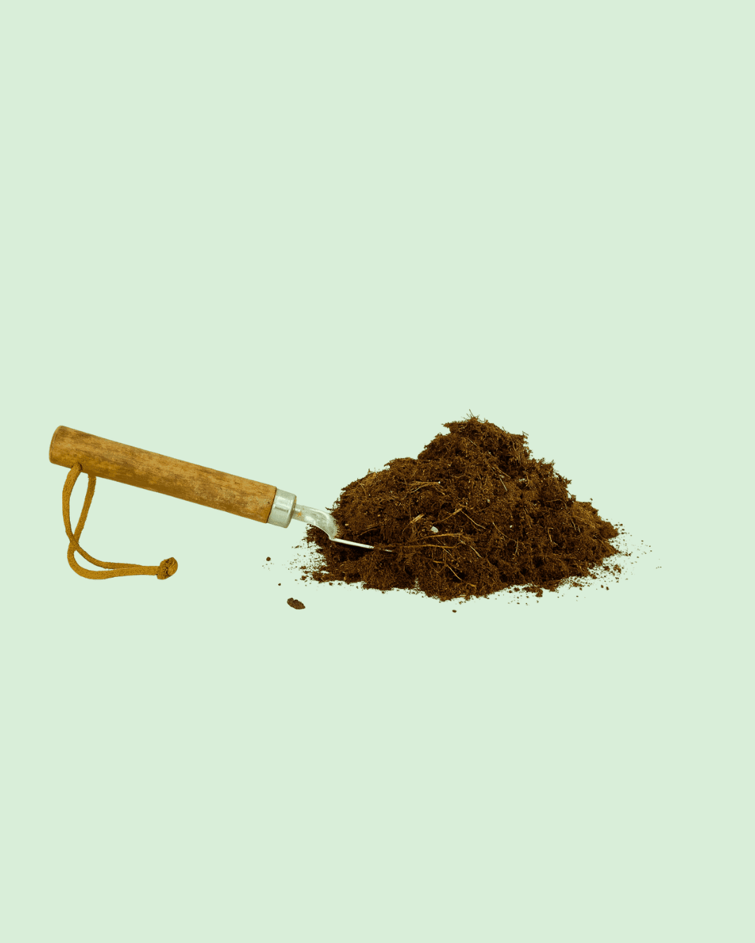 Sustrato Orgánico Plantas Verdes Tropicales 3L - Pur Plant