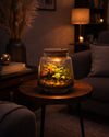 Terrario Light – Fittonias Mix M - Pur Plant