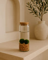 Terrario Line – Marimo Ball Tubo M - Pur Plant