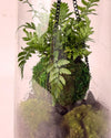 Terrario Vole – Kokodama L - Pur Plant