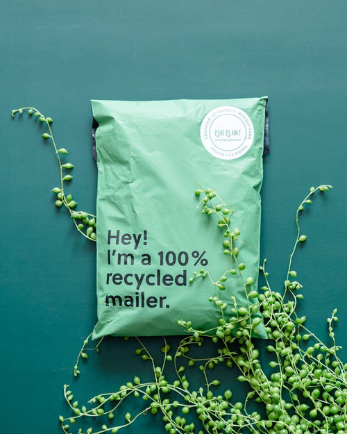 Tierra de Diatomeas 500g - Pur Plant