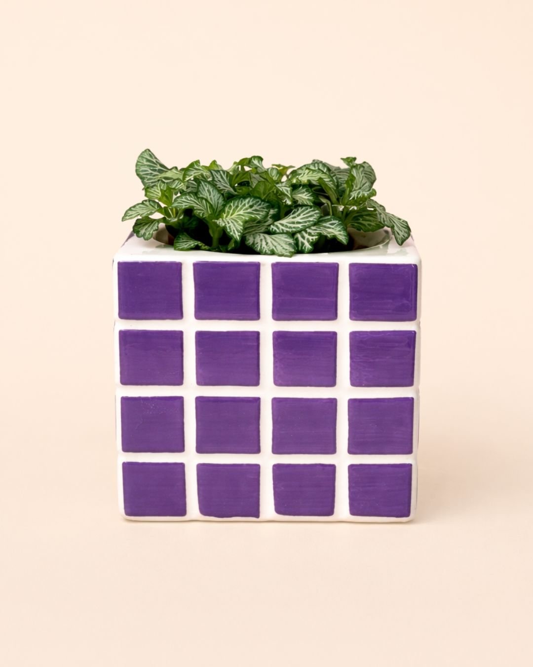 Tile – Mini Maceta Cerámica Morada 9 cm - Pur Plant