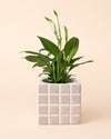 Tile – Mini Maceta Cerámica Rosa S 9 cm - Pur Plant