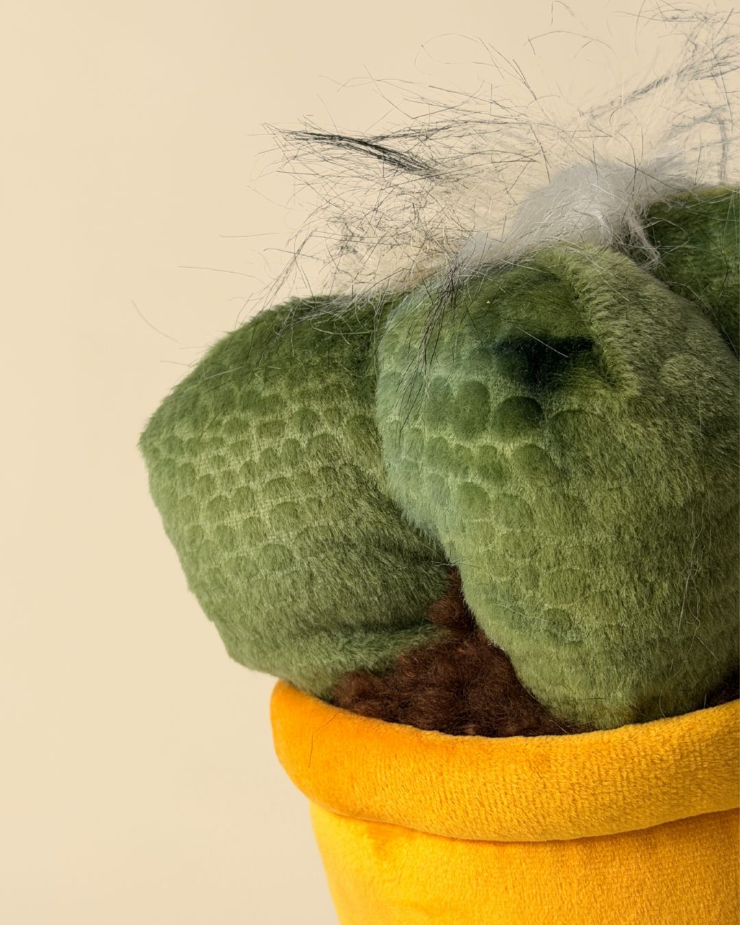 Toy Plant – Cactus - Pur Plant