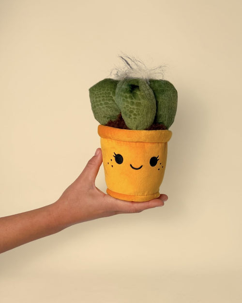 Toy Plant – Cactus - Pur Plant