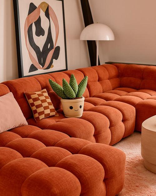 Toy Plant – Sansevieria - Pur Plant