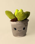 Toy Plant – Suculenta