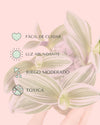 Tradescantia Nanouk Mini - Pur Plant
