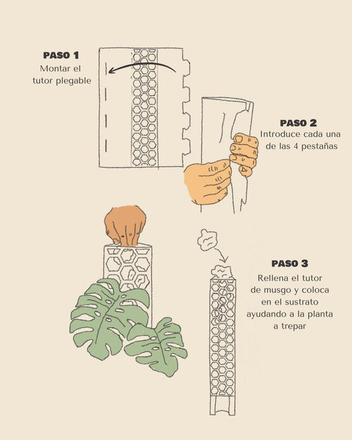 Tutor de Musgo Transparente 35 cm - Pur Plant