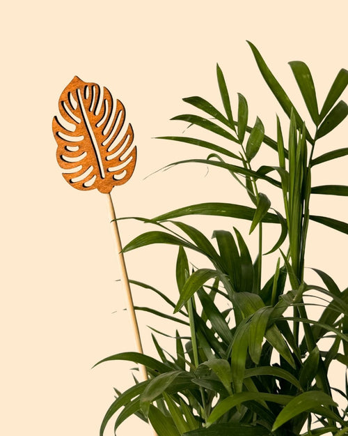 Tutor Decorativo Para Macetas Hoja Monstera 20 cm - Pur Plant