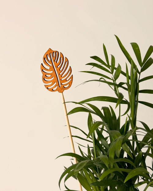 Tutor Decorativo Para Macetas Hoja Monstera 20 cm - Pur Plant